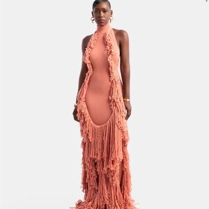 Hanifa Terracotta Fringe Dress